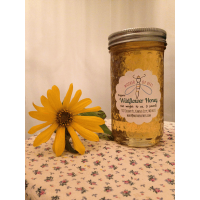 1 pound of Wildflower Honey